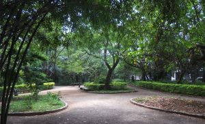 Parque Severo Gomes